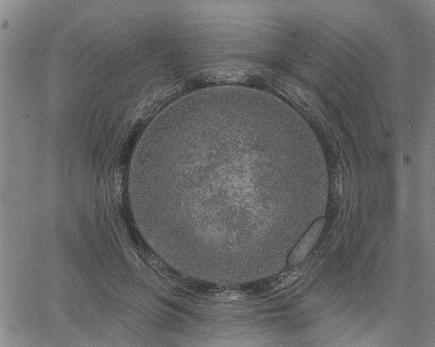 X0000063450551200601271542