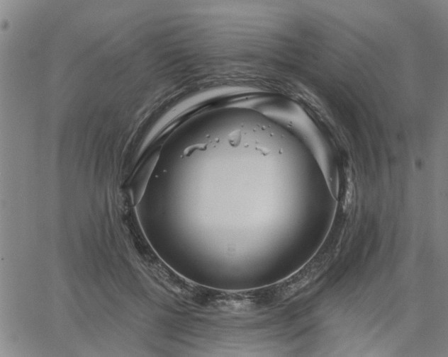 X0000063450552200601271542