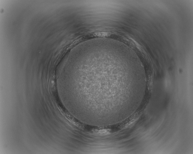 X0000063450553200601271542