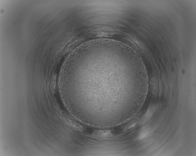 X0000063450554200601271542