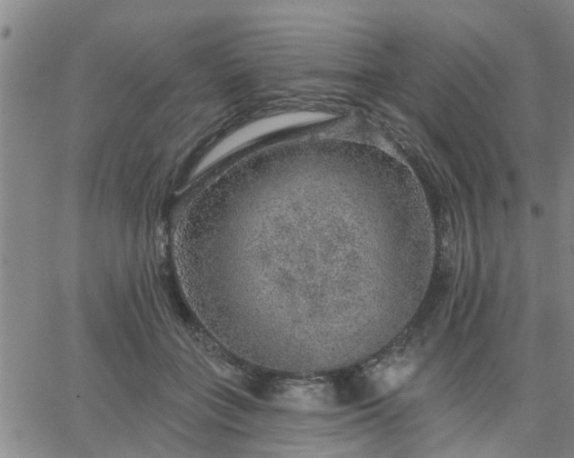 X0000063450555200601271542