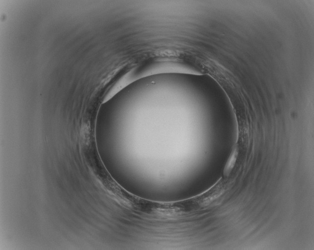 X0000063450556200601271542