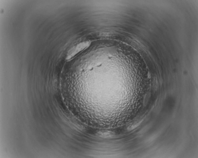 X0000063450557200601271542