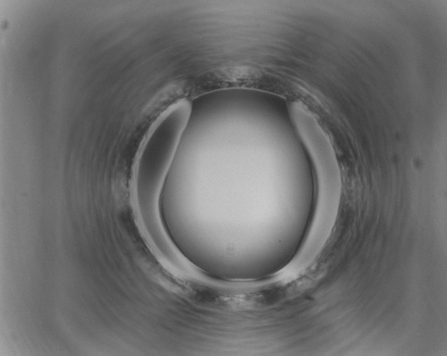 X0000063450558200601271542