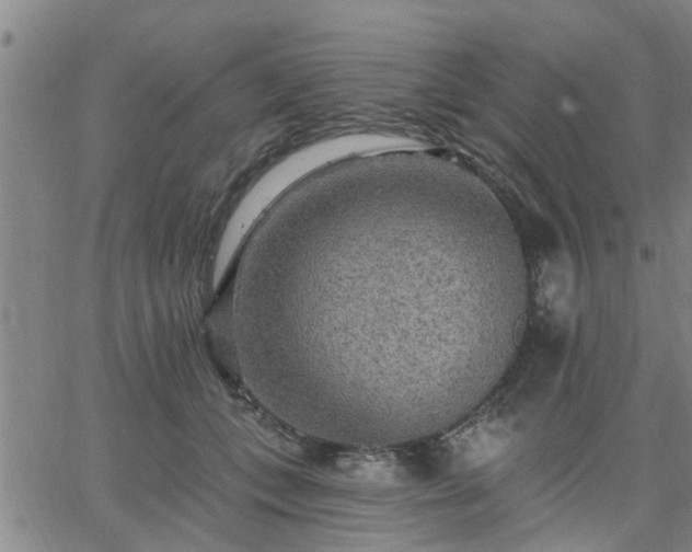 X0000063450559200601271542