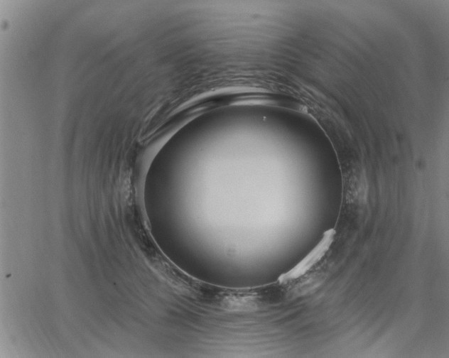 X0000063450560200601271542