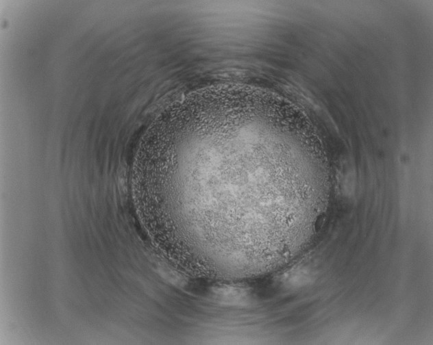 X0000063450561200601271542