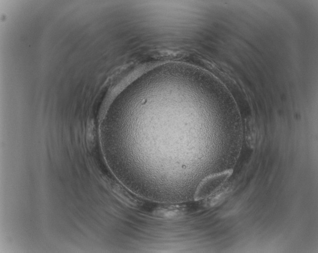 X0000063450563200601271542