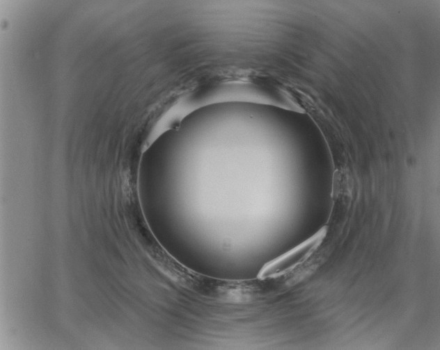 X0000063450564200601271542