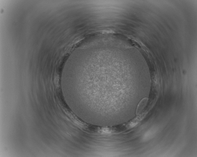 X0000063450565200601271542