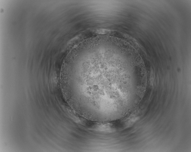 X0000063450569200601271542