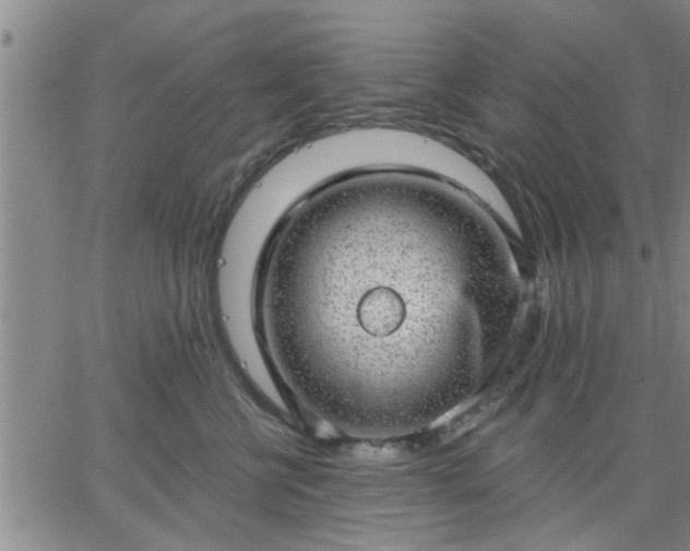 X0000063450570200601271542