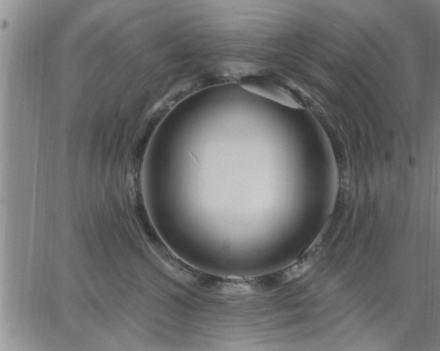 X0000063450572200601271542