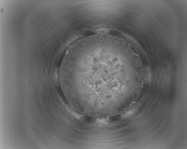 X0000063450573200601271542