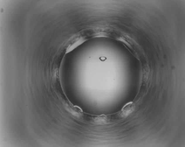 X0000063450574200601271542