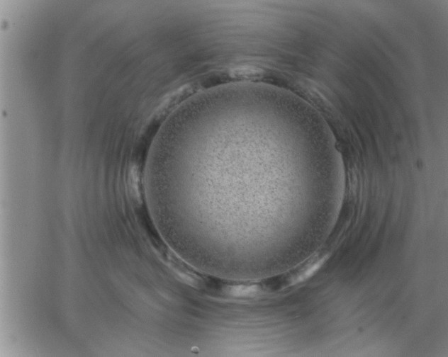 X0000063450575200601271542