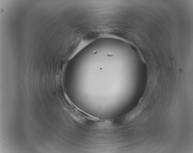 X0000063450576200601271542