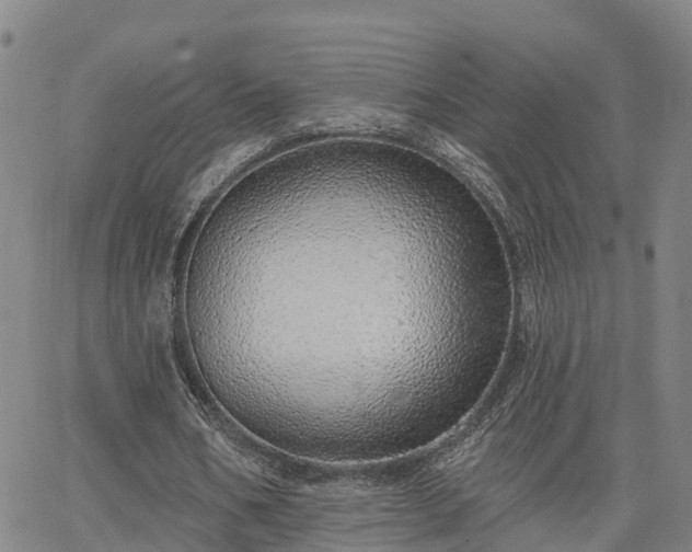 X0000063450578200601271541