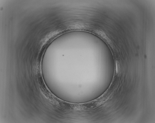 X0000063450579200601271541