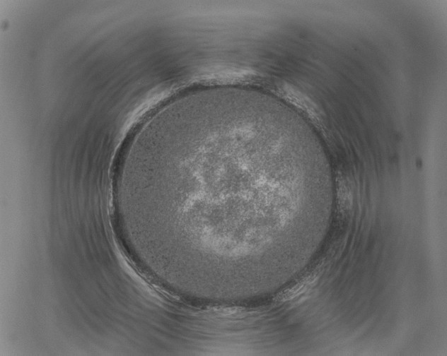 X0000063450582200601271541