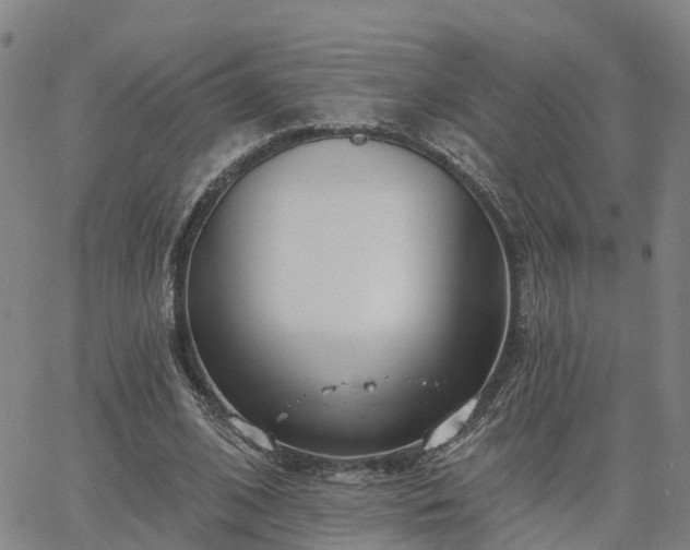 X0000063450584200601271541