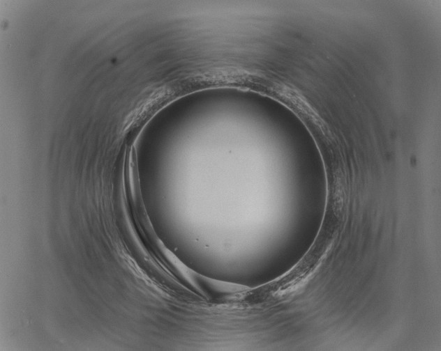 X0000063450585200601271541