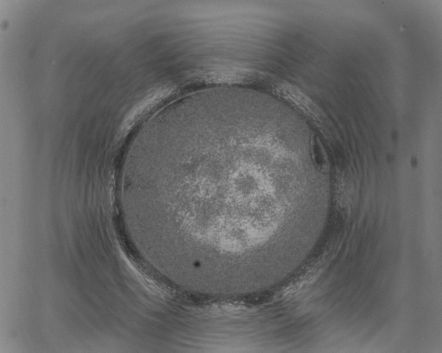 X0000063450586200601271541