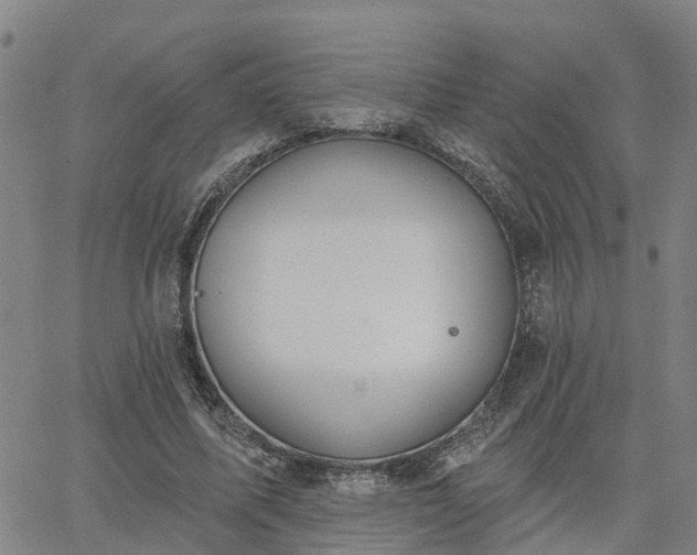 X0000063450587200601271541