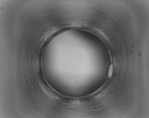 X0000063450588200601271541