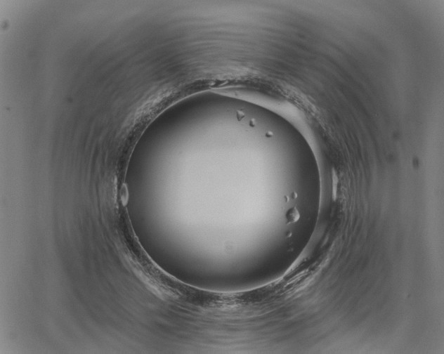 X0000063450589200601271541