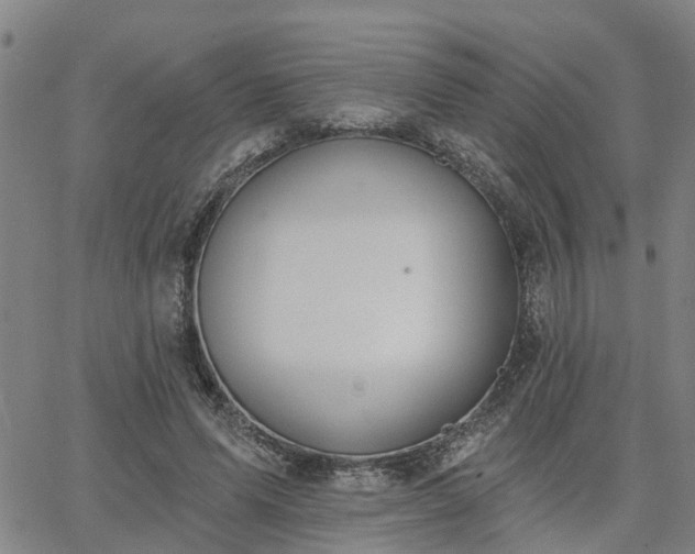 X0000063450591200601271541