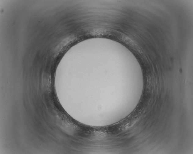 X0000063450592200601271541