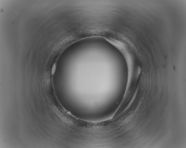 X0000063450593200601271541