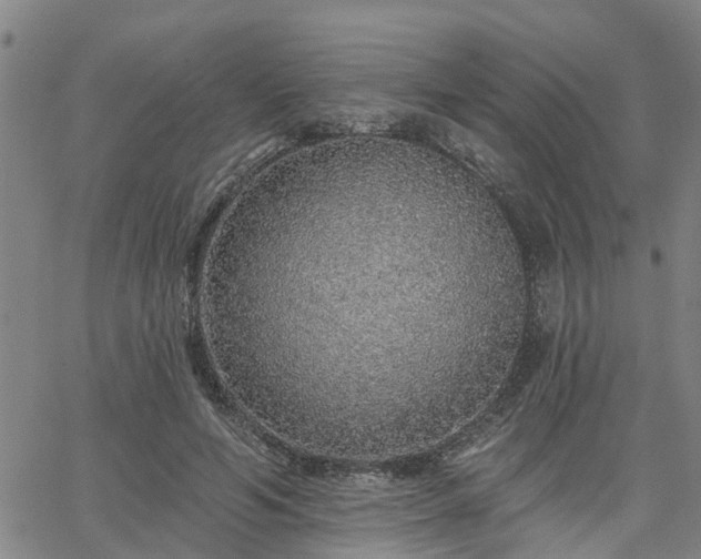 X0000063450594200601271541