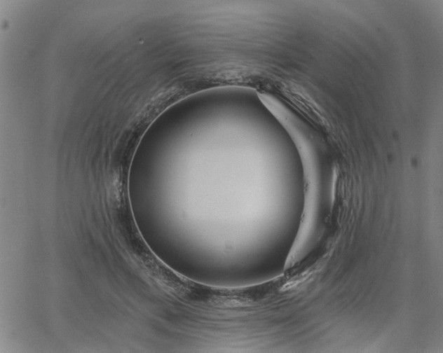 X0000063450597200601271541