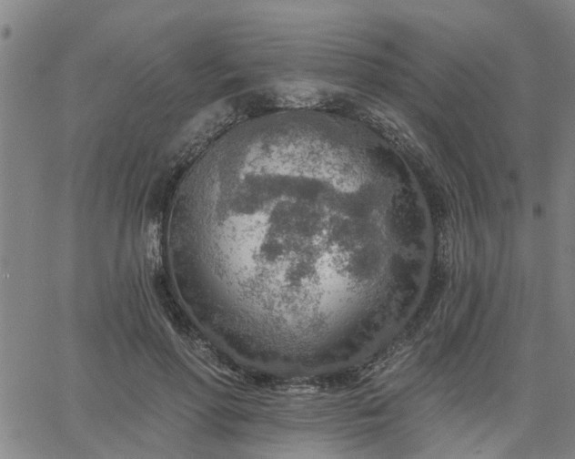 X0000063450598200601271541