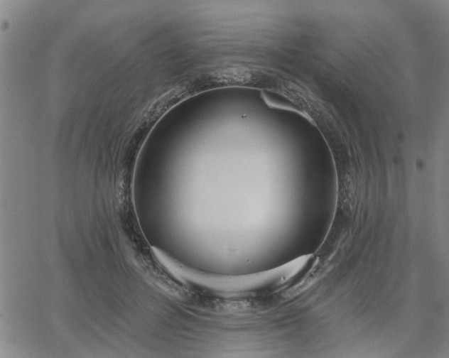 X0000063450600200601271541