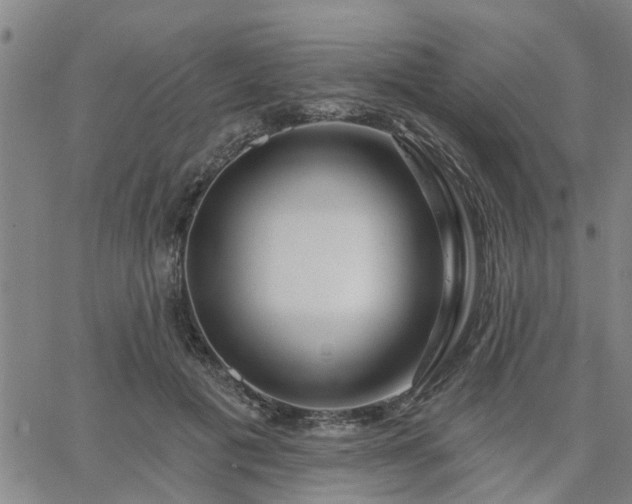 X0000063450601200601271541