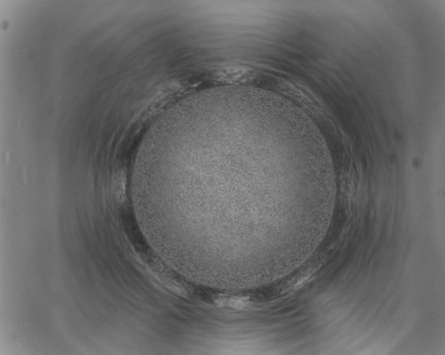 X0000063450602200601271541