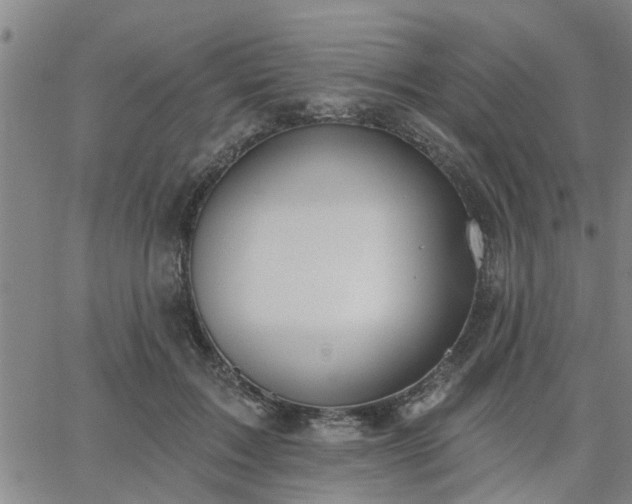 X0000063450603200601271541