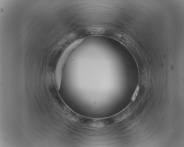 X0000063450604200601271541