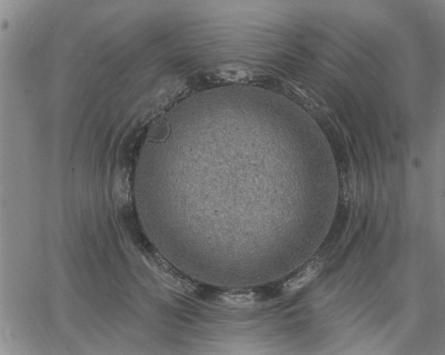 X0000063450606200601271541