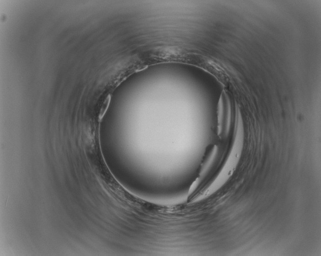 X0000063450607200601271541