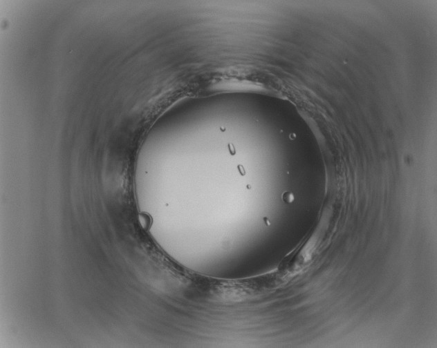 X0000063450608200601271541