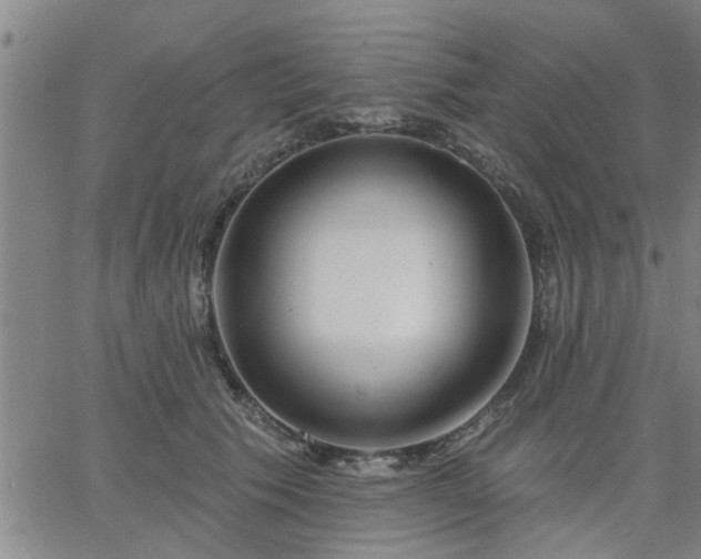 X0000063450609200601271541