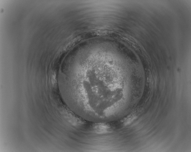 X0000063450610200601271541