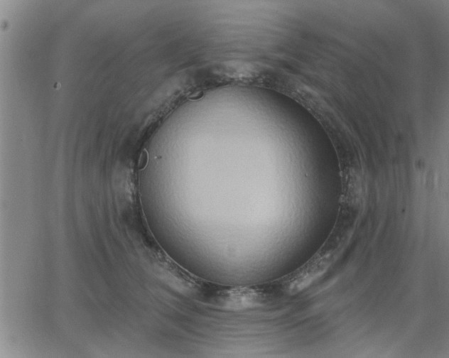 X0000063450612200601271541