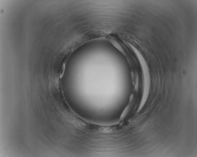 X0000063450613200601271541