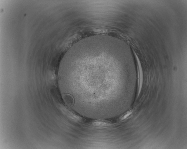 X0000063450614200601271541