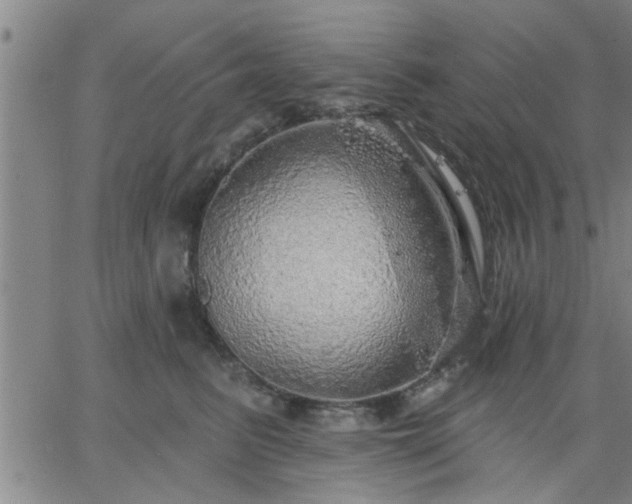 X0000063450615200601271541